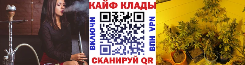 Где найти наркотики Новозыбков АМФ  COCAIN  Меф мяу мяу  А ПВП  Бошки Шишки  Гашиш 