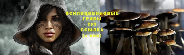 каннабис Алексин