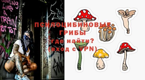 дмт Арсеньев
