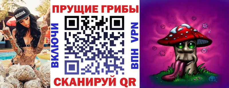 Галлюциногенные грибы MAGIC MUSHROOMS Новозыбков