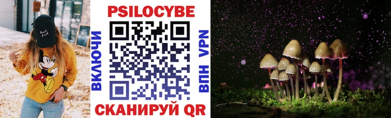 Псилоцибиновые грибы прущие грибы  где найти наркотики  Новозыбков 