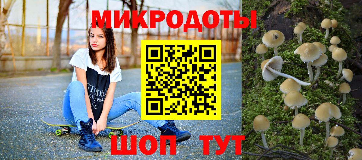Галлюциногенные грибы прущие грибы  Вход с VPN  Новозыбков 