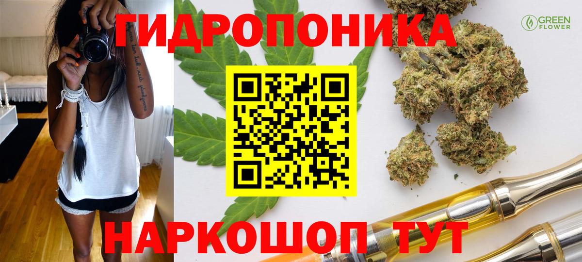 Каннабис семена Новозыбков